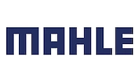 MAHLE Motorsport Logo