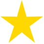 gold star rating 100%